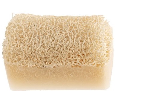  Kabak Lifli Keçi Sütlü Sabun